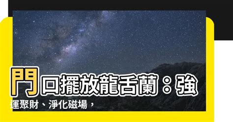 龍舌蘭放門口|【龍舌蘭放門口】門口擺放龍舌蘭：強運聚財、淨化磁場，一次搞。